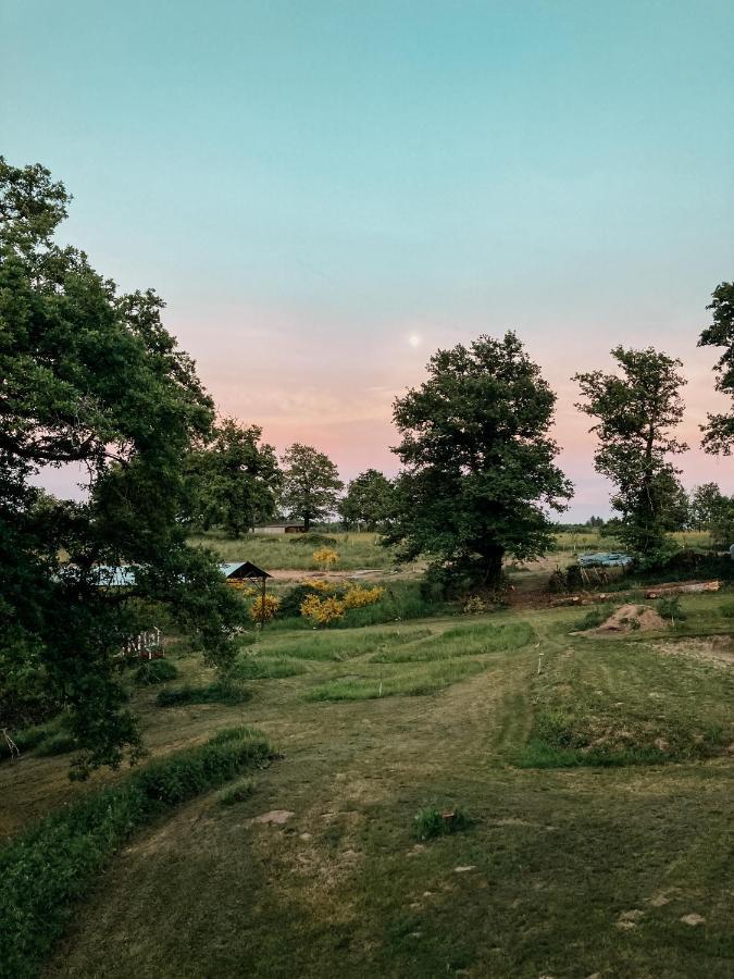 La Ferme Du Pont De Maumy, Cabane Au Bord De L'Etang Et Bain Nordique Busserolles Exterior foto