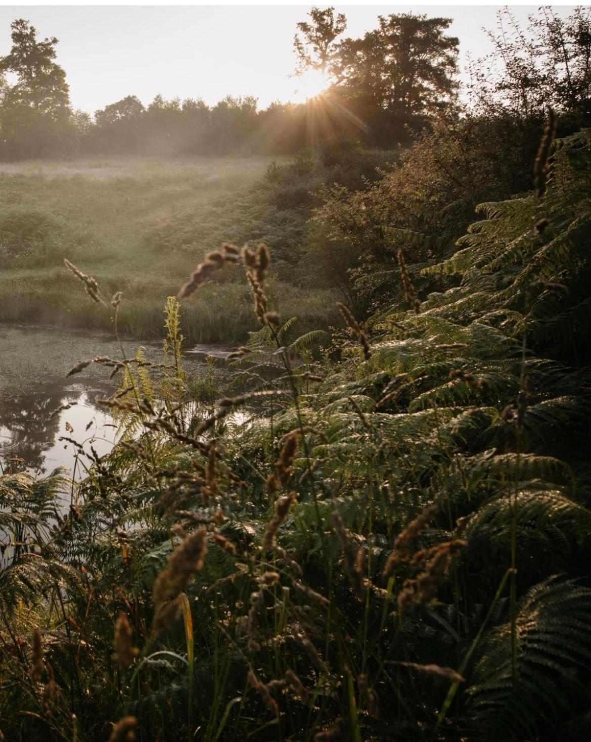 La Ferme Du Pont De Maumy, Cabane Au Bord De L'Etang Et Bain Nordique Busserolles Exterior foto